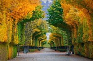 Cursus de Maître praticien en hypnose ericksonienne